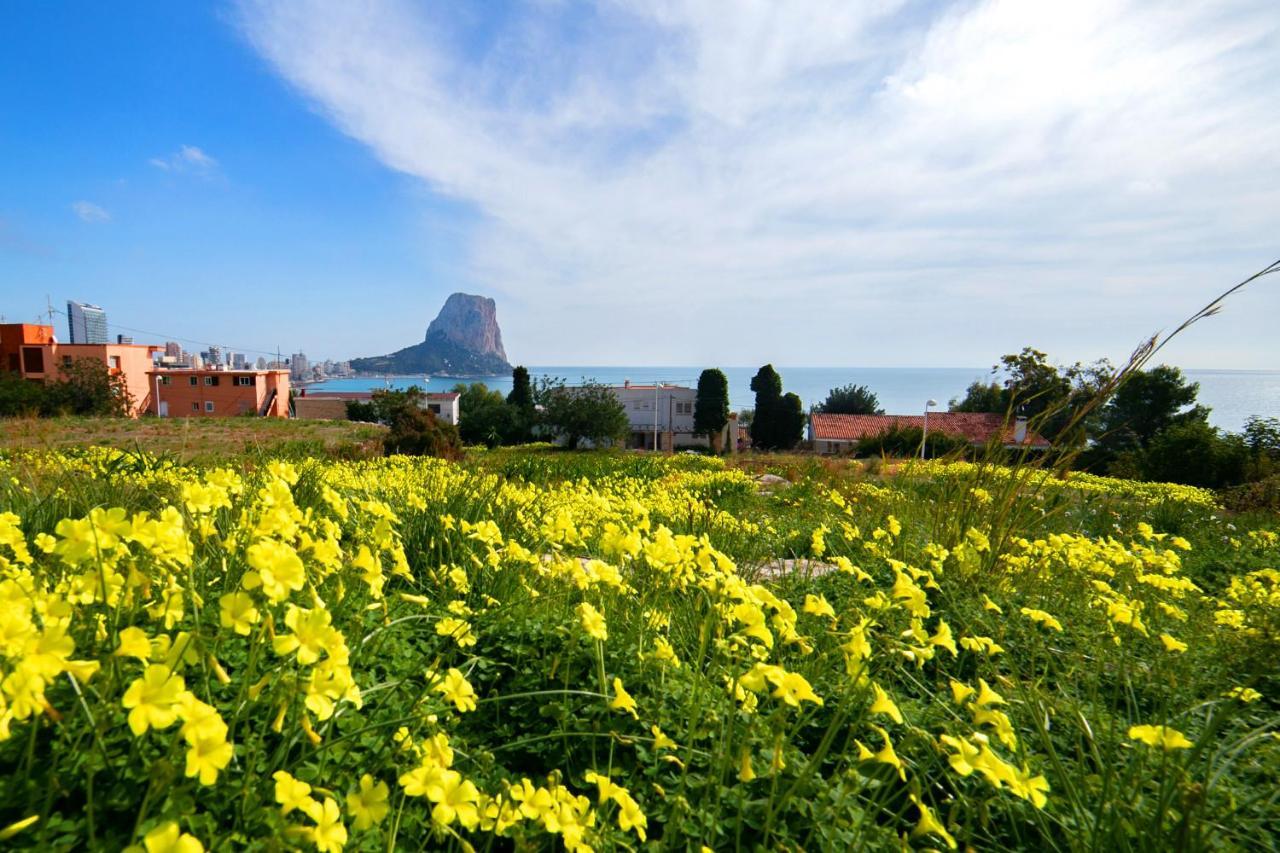 Homeincalpe Borumbot Bagian luar foto