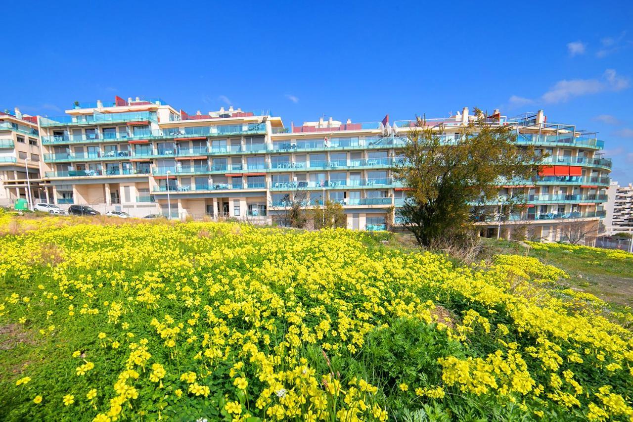 Homeincalpe Borumbot Bagian luar foto